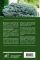 Энциклопедия хвойных растений. Вечнозелёные долгожители в вашем саду