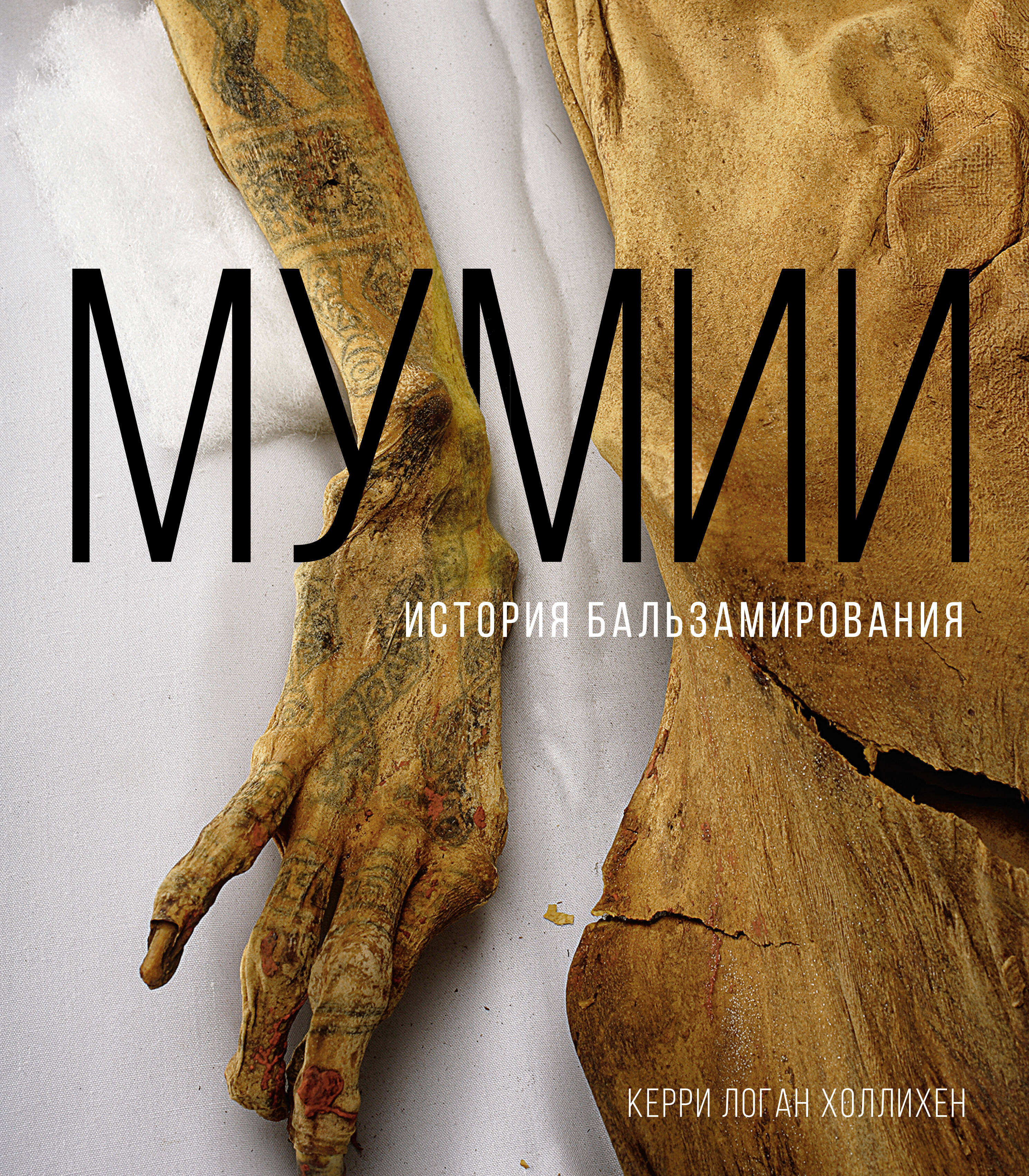 Холлихен Керри Логан Мумии. История бальзамирования - страница 0