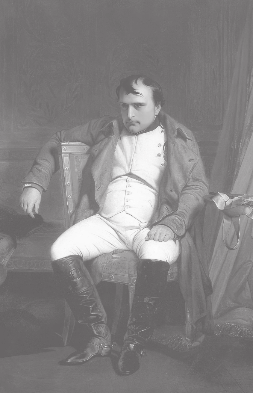 Лепенан Александра  Бонапарты. История Французской империи - страница 3