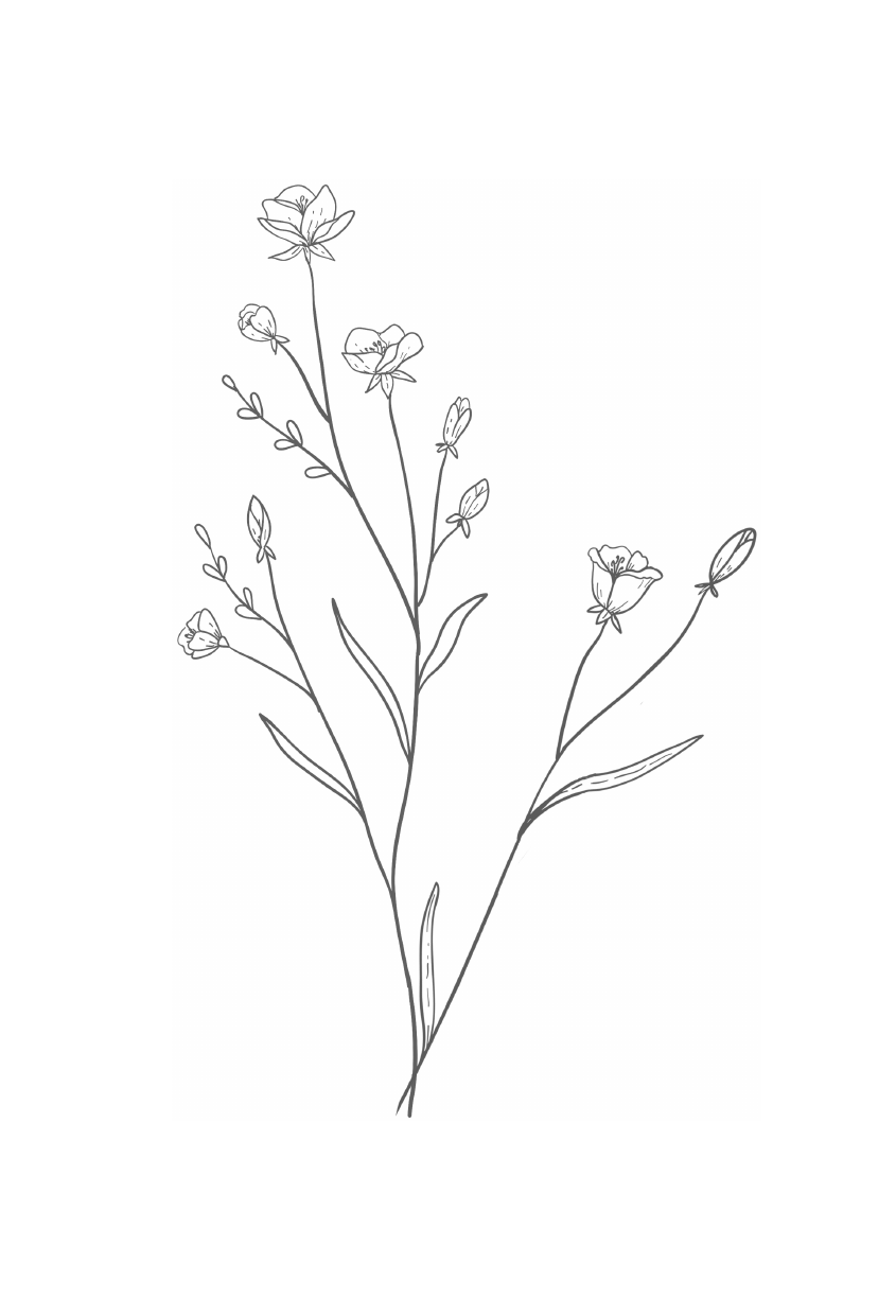 Симбирская Юлия Станиславовна Грустная история Глаши Веселовой - страница 2