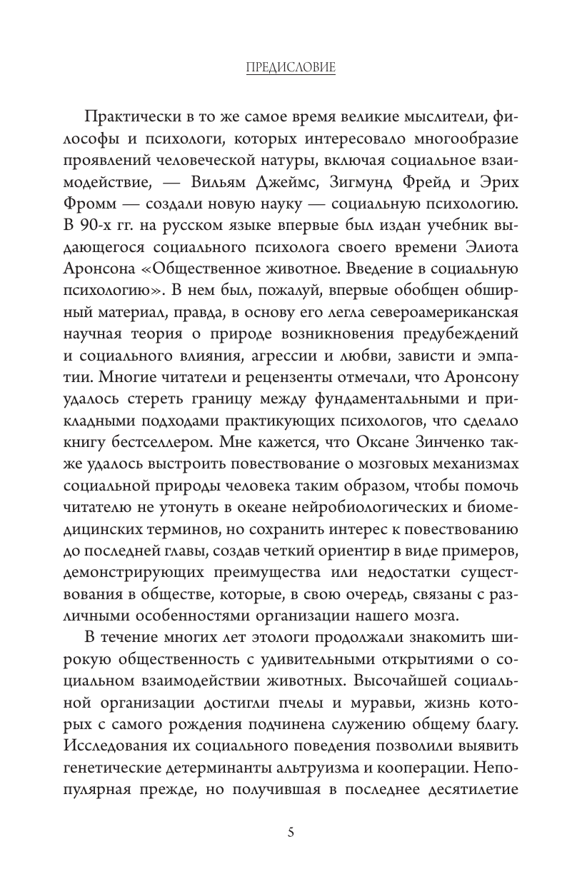 Зинченко Оксана Олеговна Основы социальной коммуникации. Лабиринты понимания - страница 4