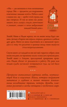 Покой перелетного голубя