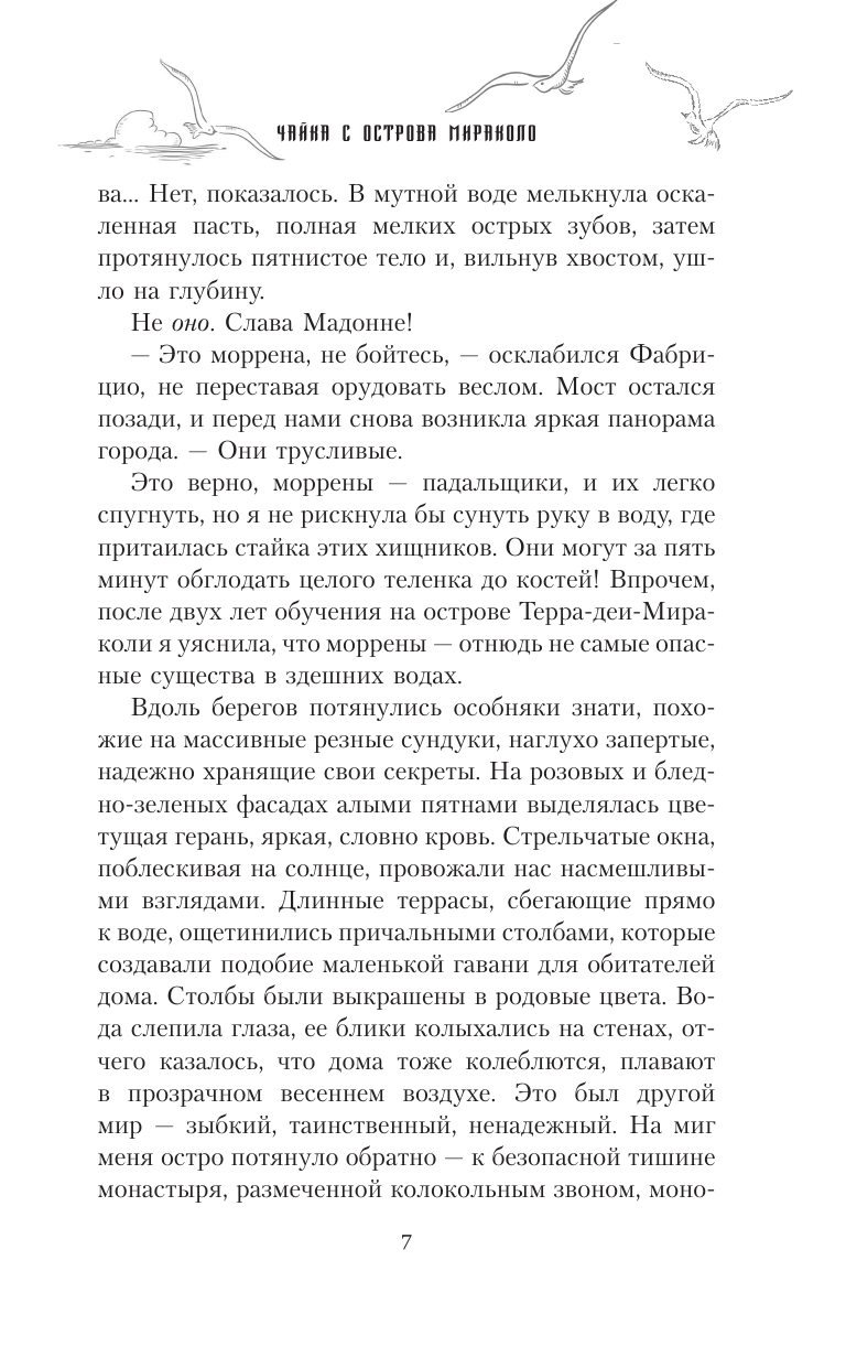 Волгина Алена  Чайка с острова Мираколо - страница 4