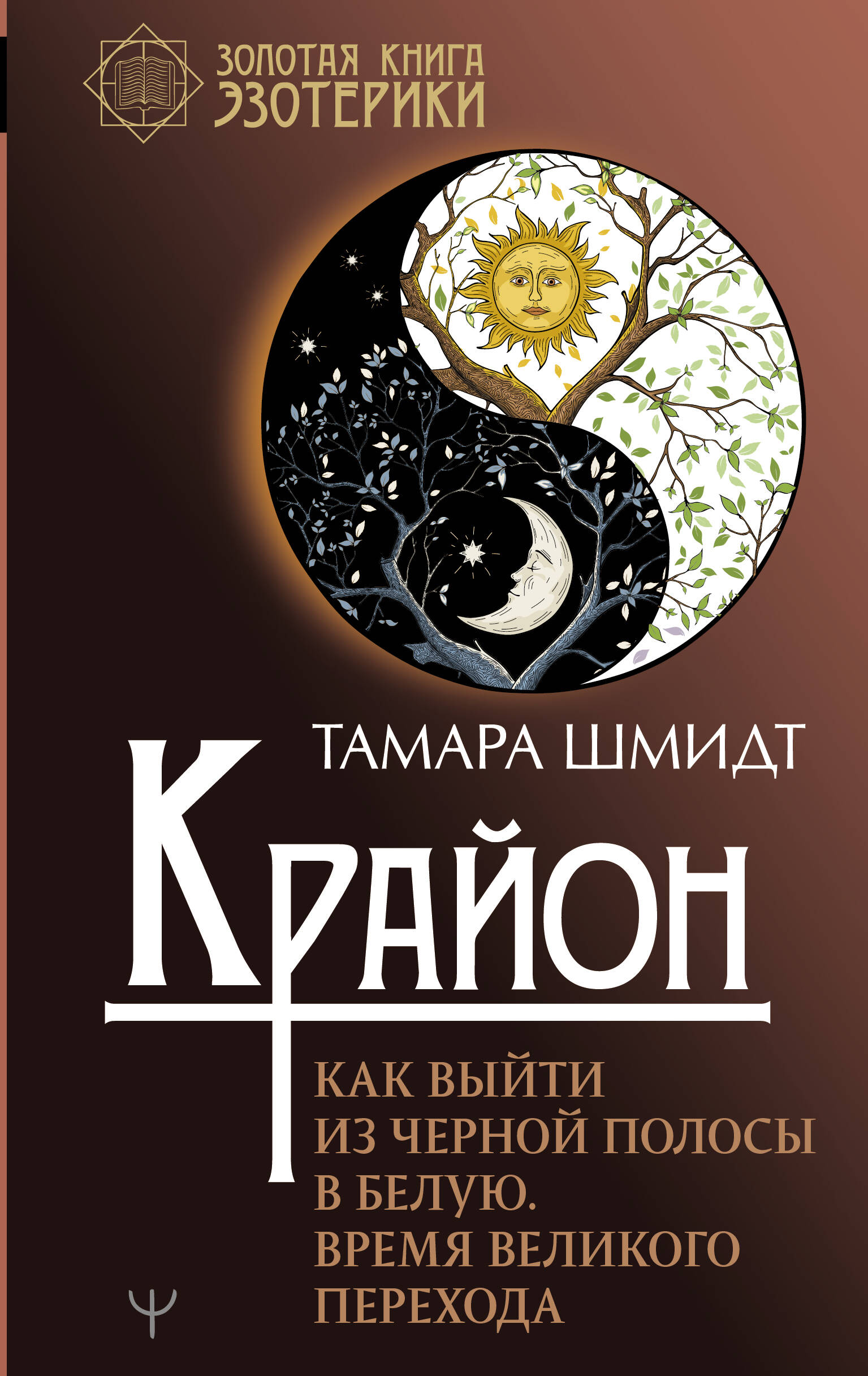 Шмидт Тамара  Крайон. Как выйти из черной полосы в белую. Время Великого Перехода - страница 0