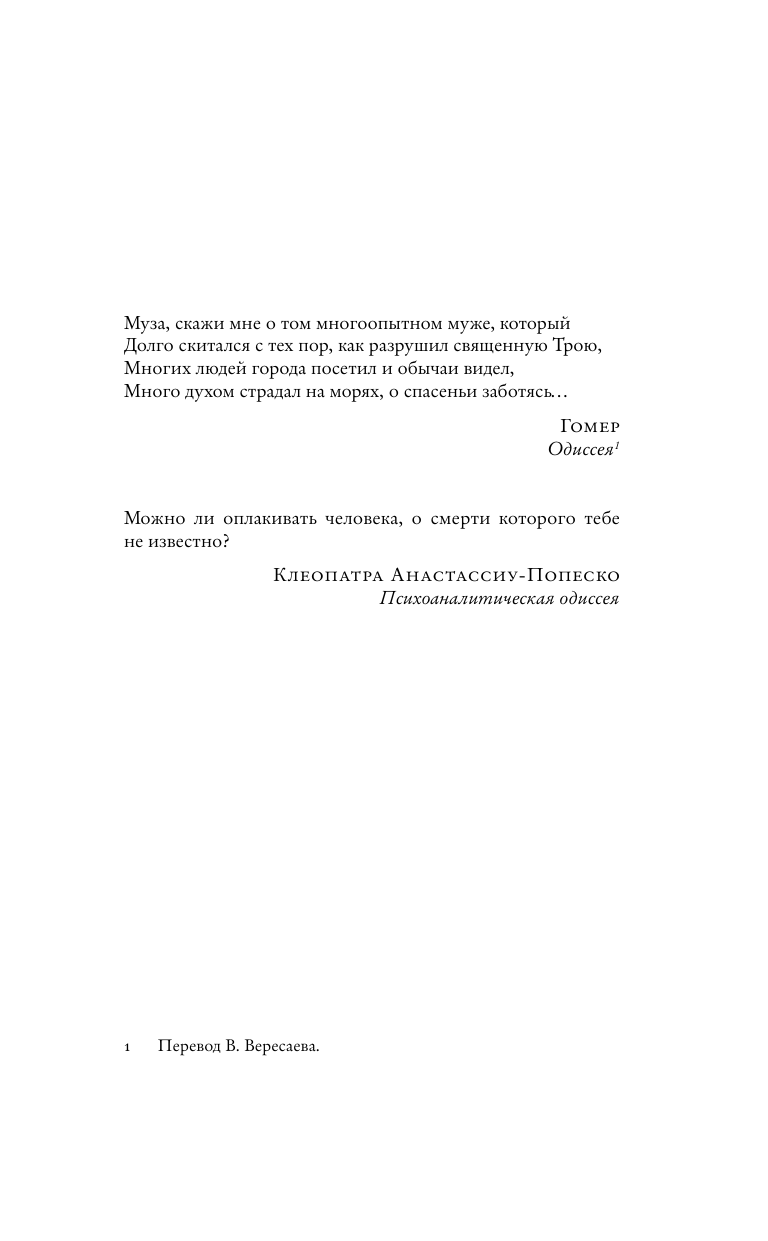 Мартен-Люган Аньес Последнее приключение странника - страница 1