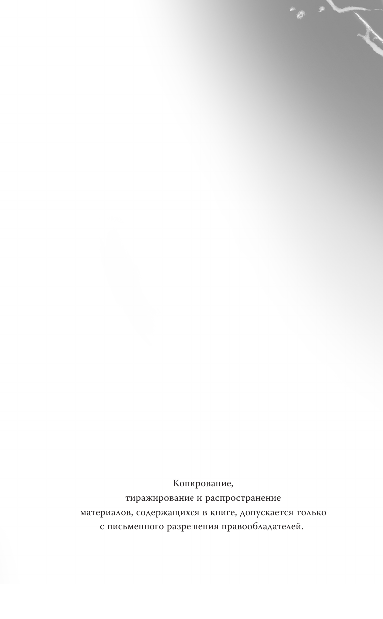 Лисенкова Ольга Александровна Стиратель - страница 2