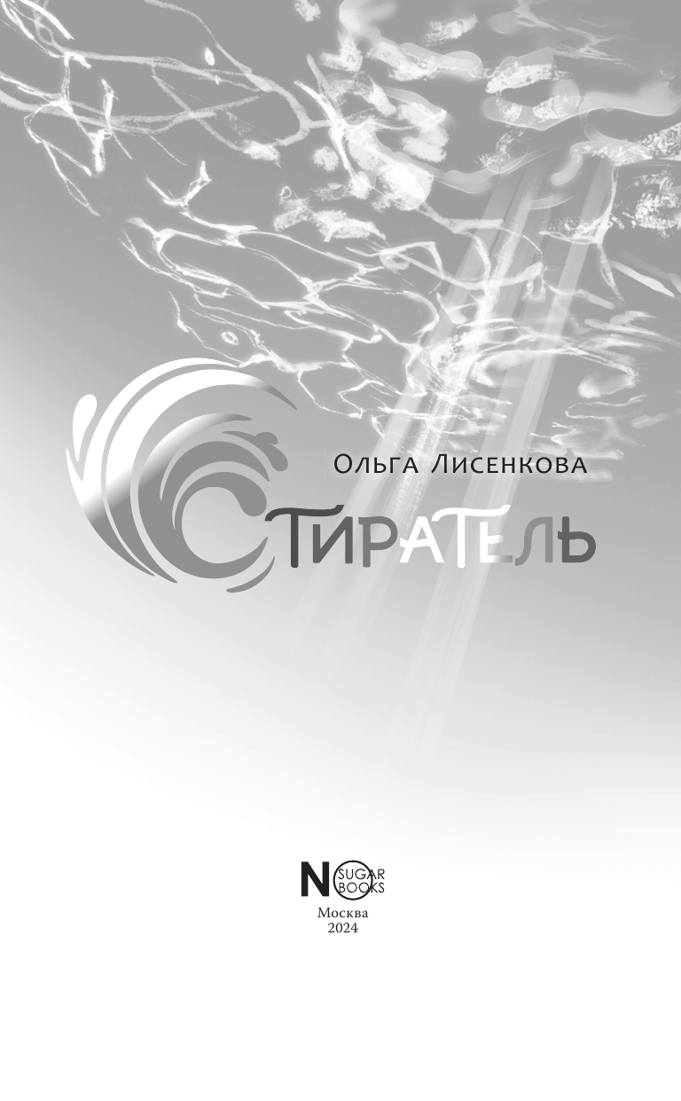 Лисенкова Ольга Александровна Стиратель - страница 3