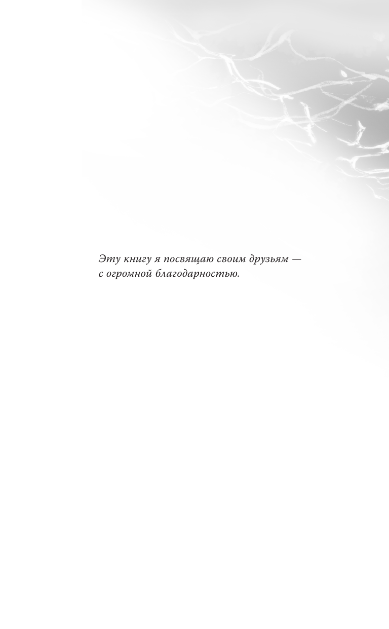 Лисенкова Ольга Александровна Стиратель - страница 4