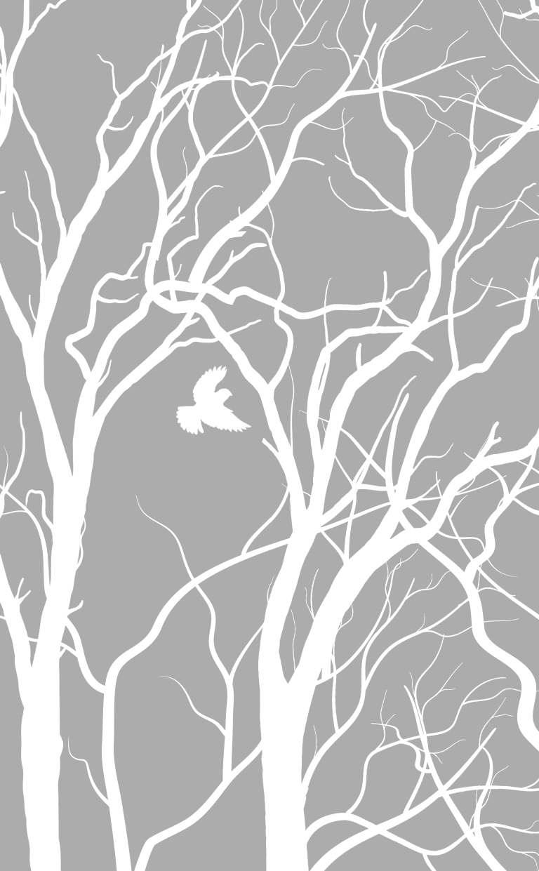 Алексин Анатолий Георгиевич Звоните и приезжайте! - страница 2