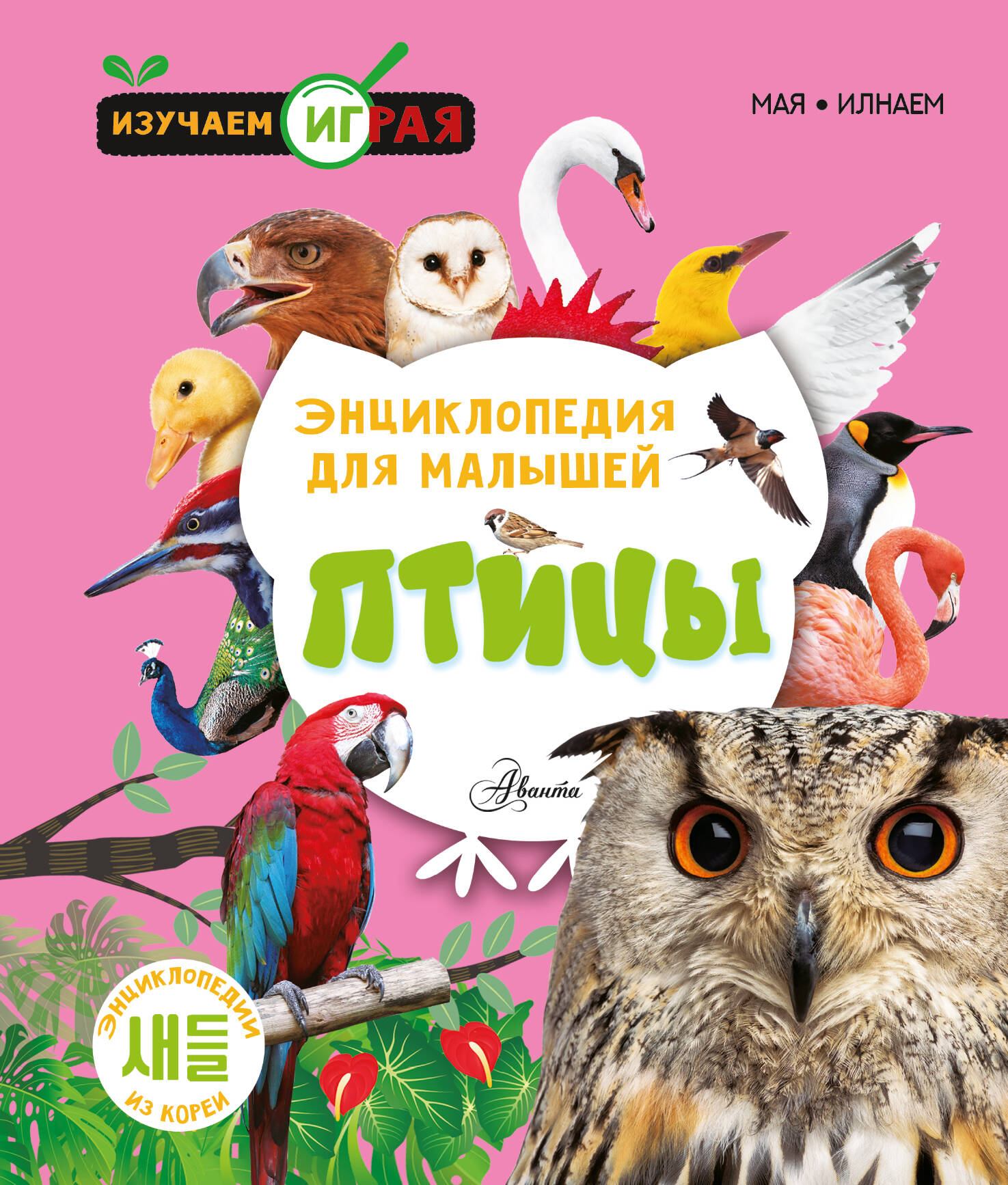  Птицы - страница 0