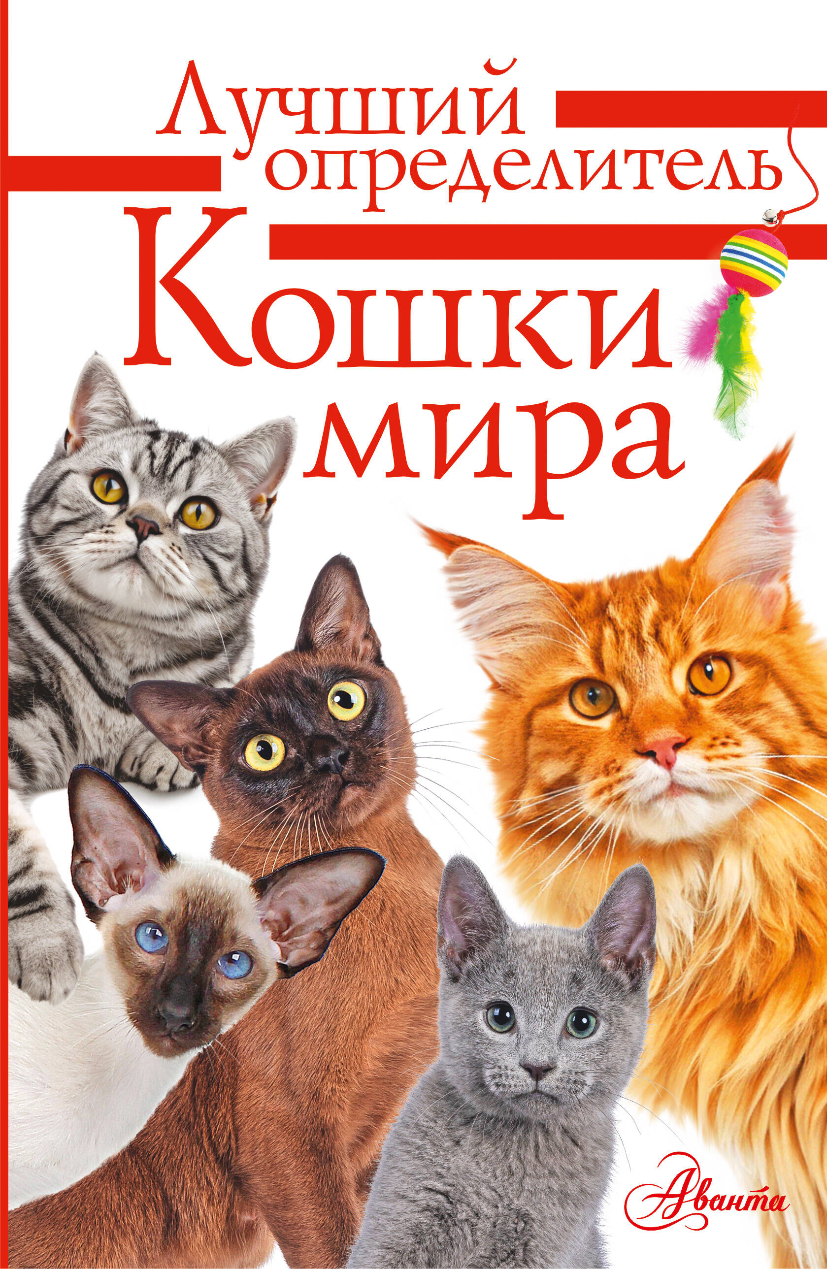 Михальская Анна Константиновна Кошки мира. Определитель - страница 0