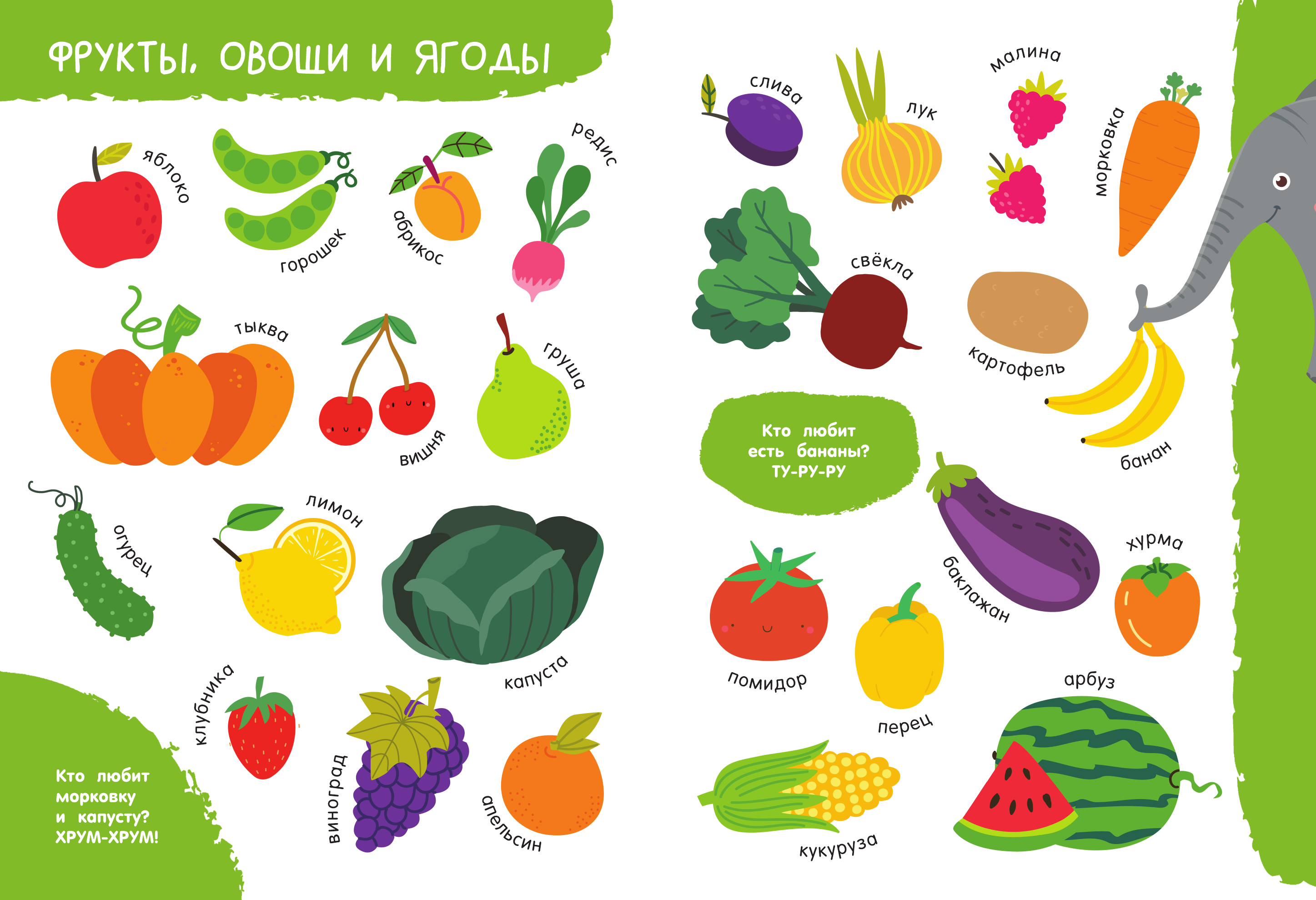 Дмитриева Валентина Геннадьевна Мои первые слова в картинках - страница 2