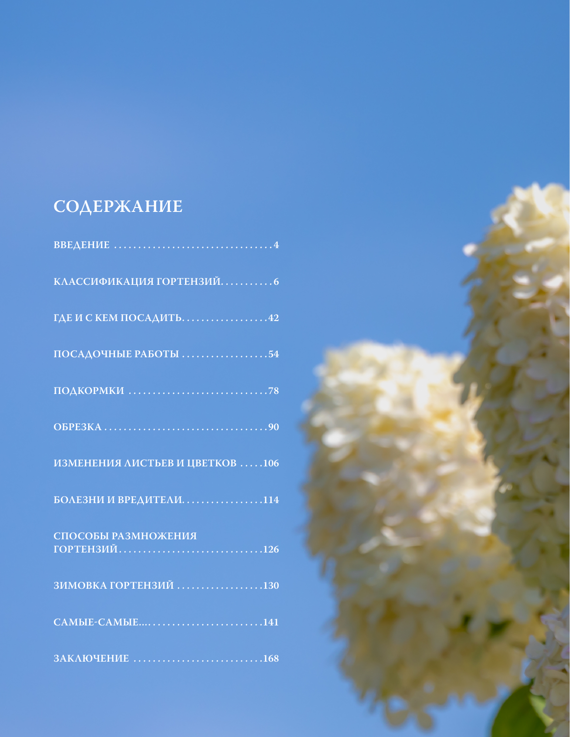 Кочелаева Лариса Николаевна Гортензии. Выращиваем, ухаживаем и наслаждаемся в любом саду - страница 1