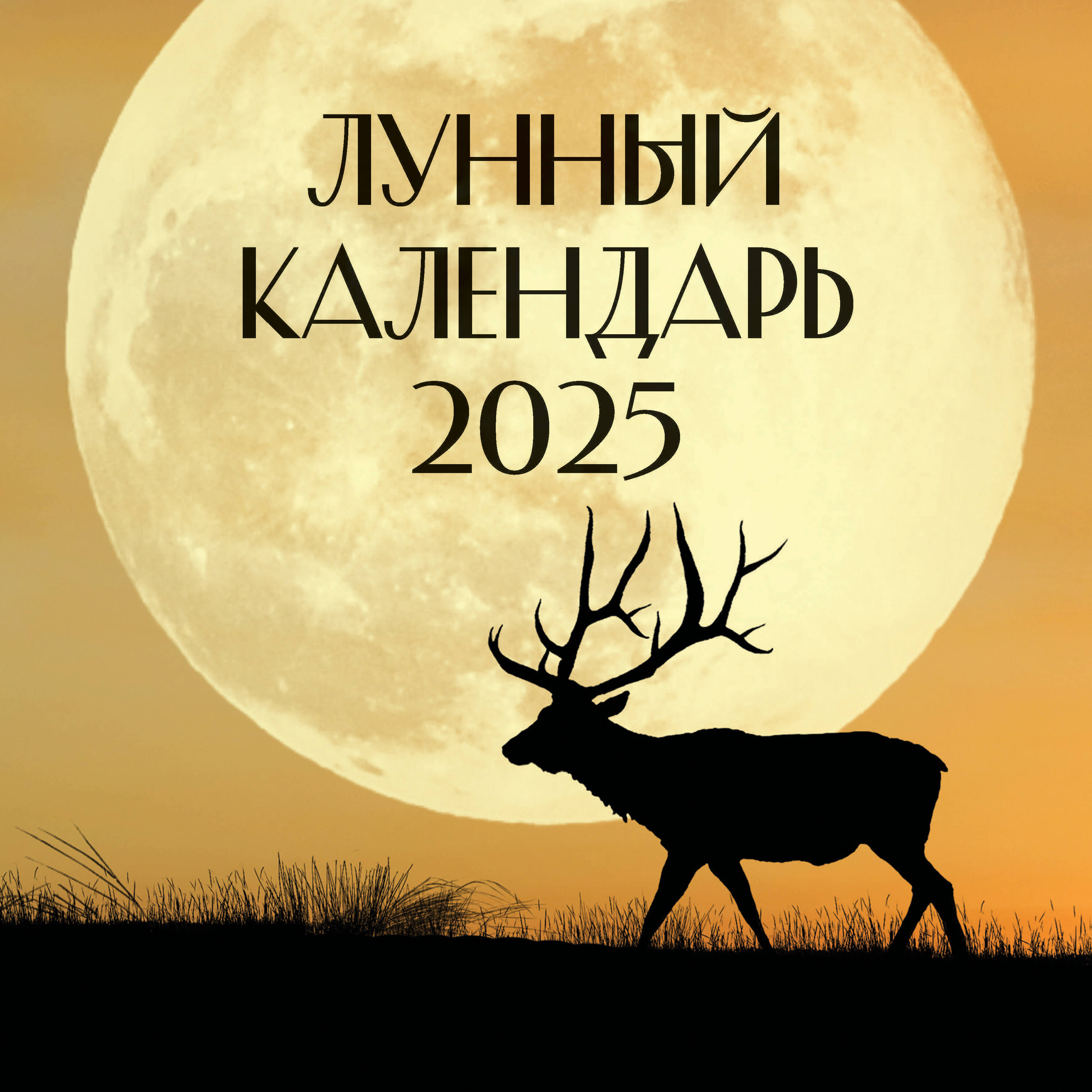  Лунный календарь на 2025 год (настенный) - страница 0