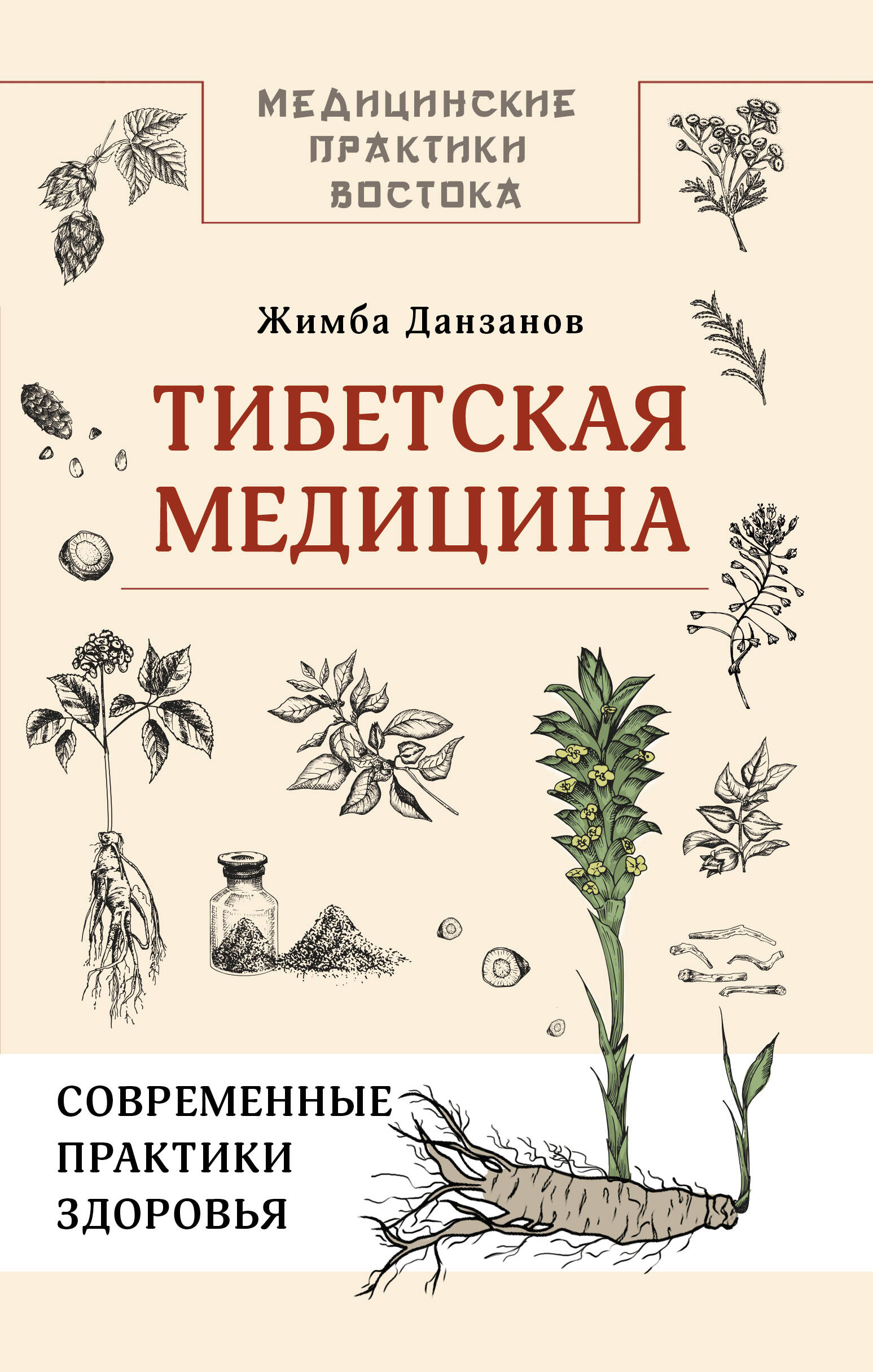 Данзанов Жимба  Тибетская медицина: современные практики здоровья - страница 0