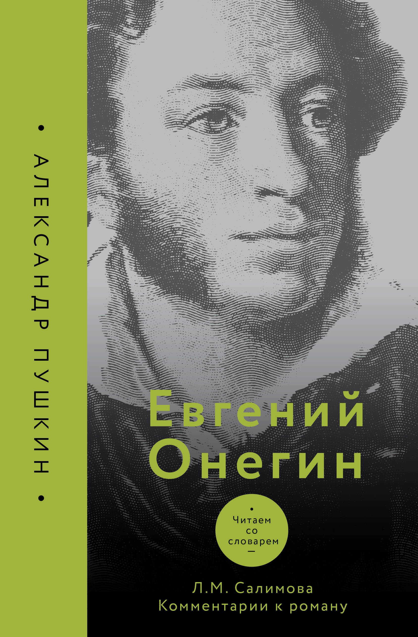 Салимова Л. М. Евгений Онегин. Читаем со словарем. Комментарии к роману - страница 0