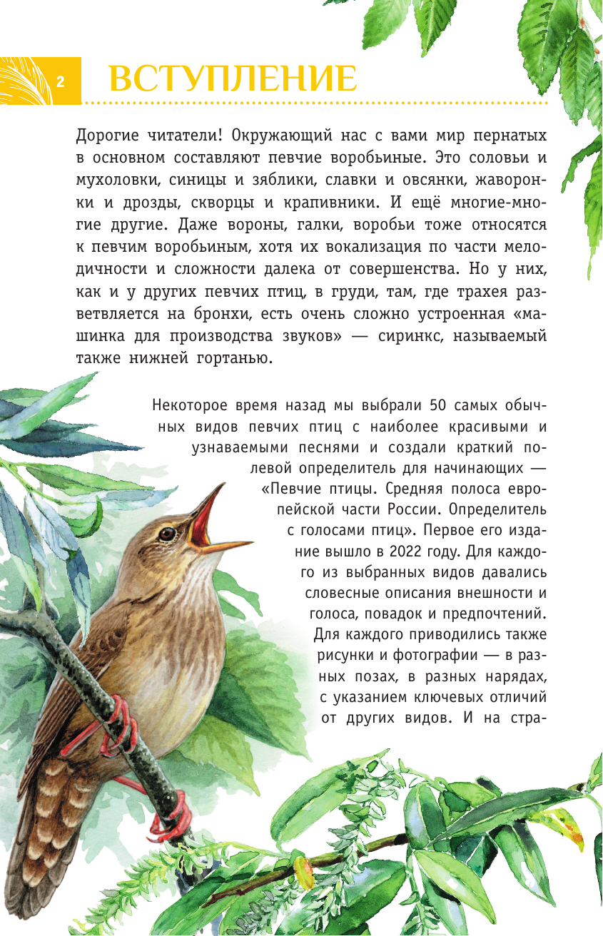 Коблик Евгений Александрович, Архипов Владимир Юрьевич Непевчие птицы. Средняя полоса европейской части России. Определитель с голосами птиц - страница 2