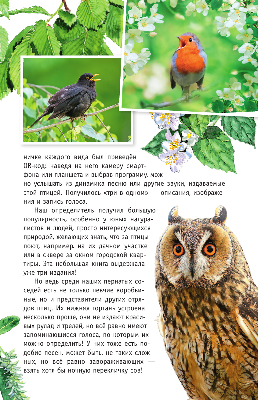 Коблик Евгений Александрович, Архипов Владимир Юрьевич Непевчие птицы. Средняя полоса европейской части России. Определитель с голосами птиц - страница 3