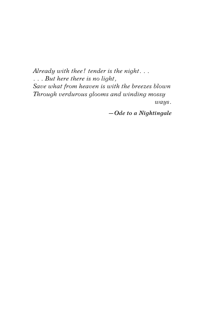 Фицджеральд Фрэнсис Скотт Tender is the Night - страница 4