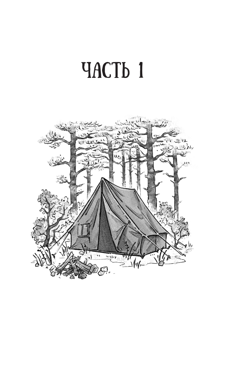 Алёшина Катерина Владимировна Раскоп у Волчьей сопки - страница 4