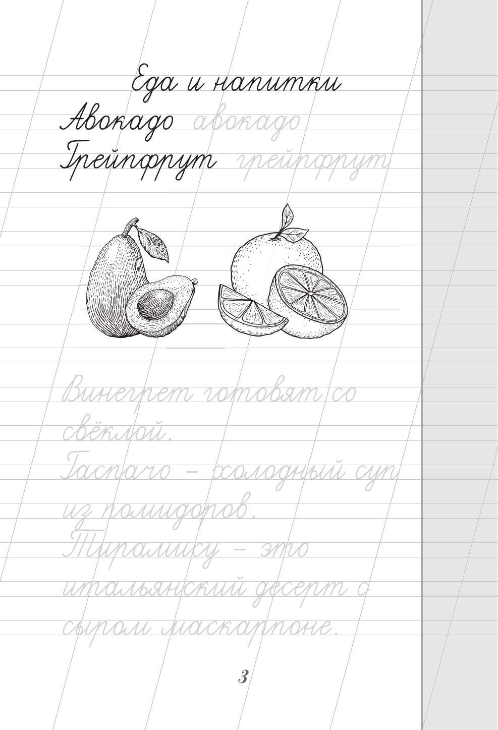  Русский язык. Пишем красиво слова-заимствования - страница 3