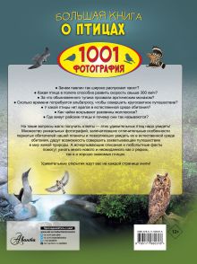 Большая книга о птицах. 1001 фотография
