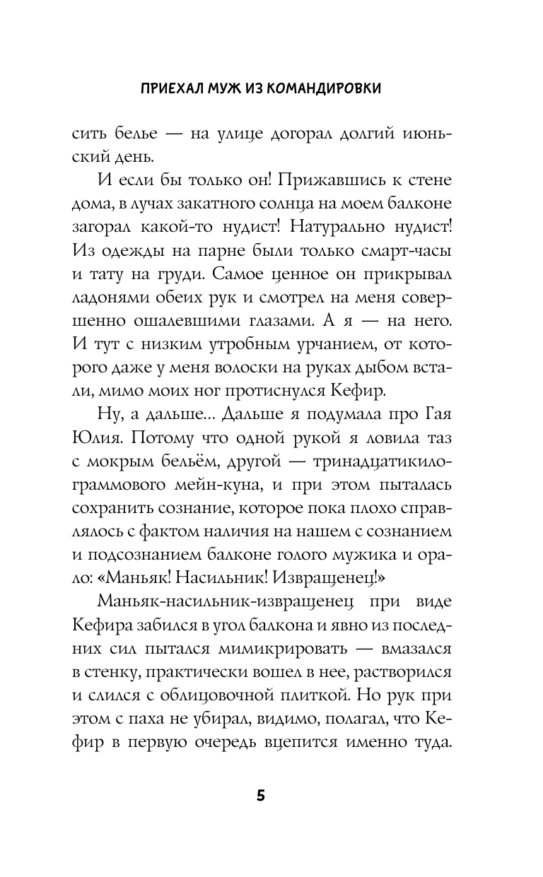 Волкова Дарья Александровна Приехал муж из командировки - страница 4