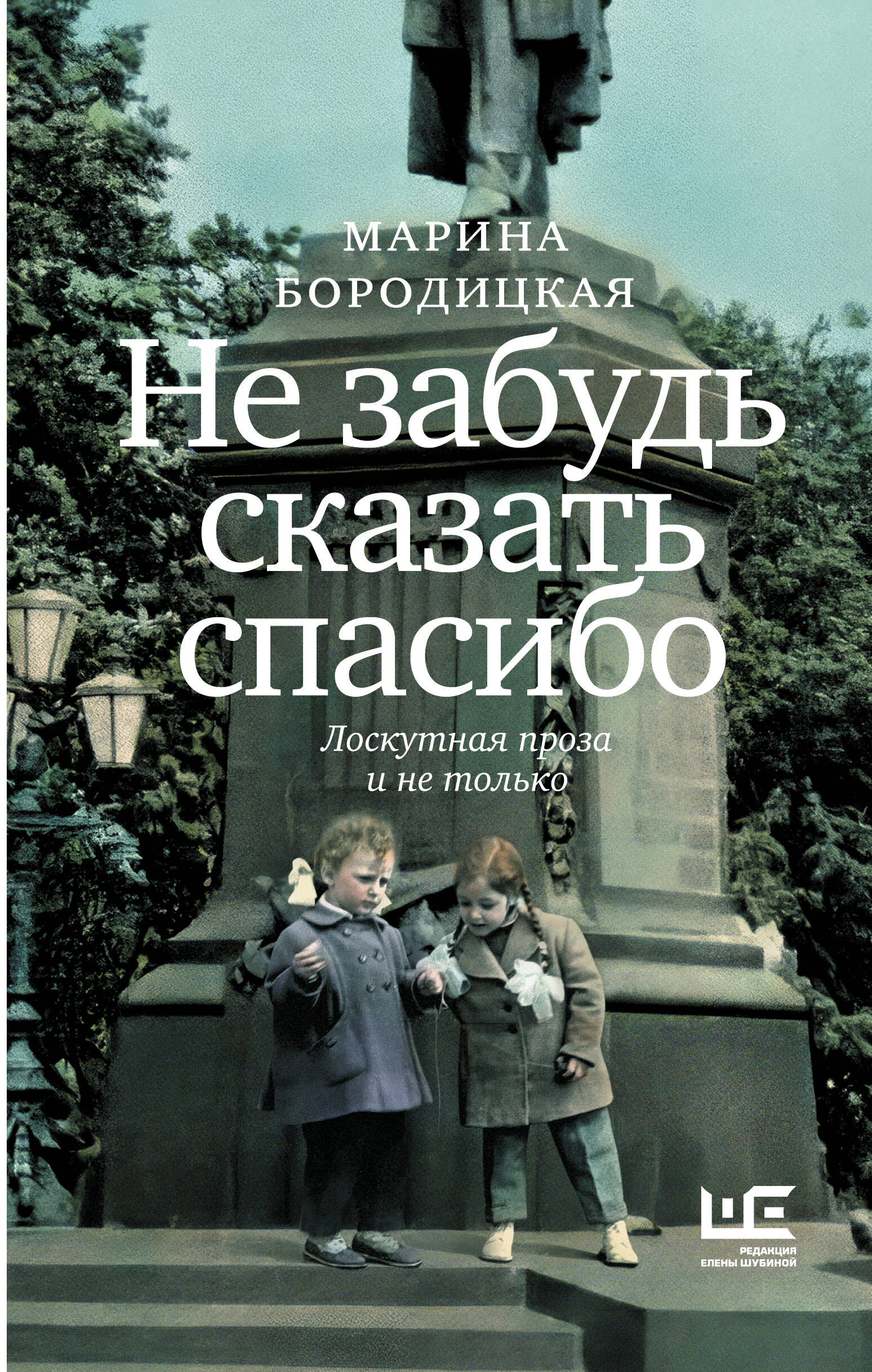 Бородицкая Марина Яковлевна Не забудь сказать спасибо: Лоскутная проза и не только - страница 0