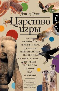 Туми Дэвид — Царство игры