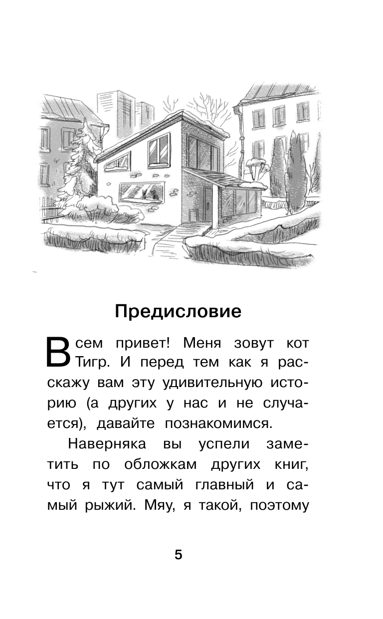 Залесская Екатерина Васильевна Котовасия. Праздник, который всегда с котом - страница 3