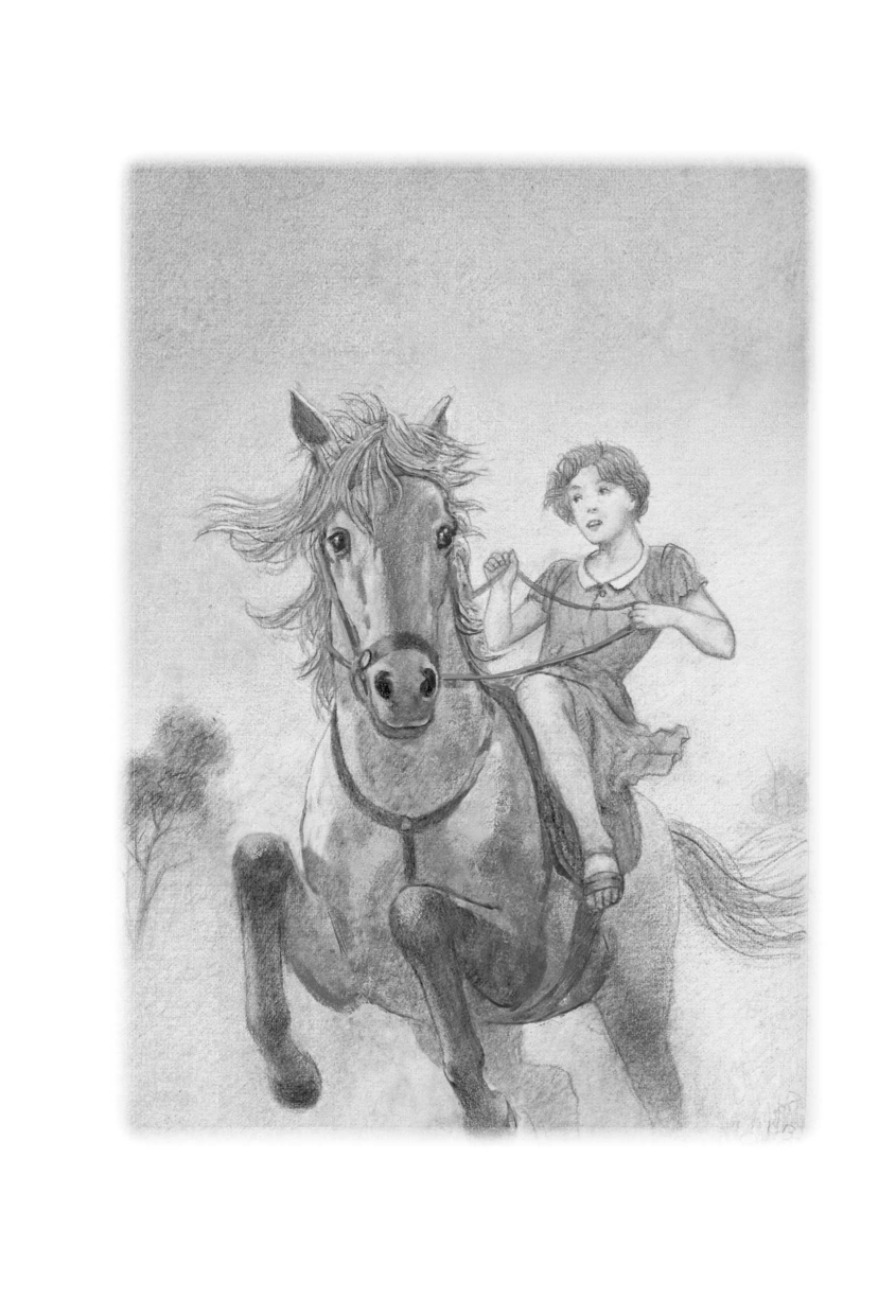 Ильина Елена Яковлевна Четвертая высота - страница 2