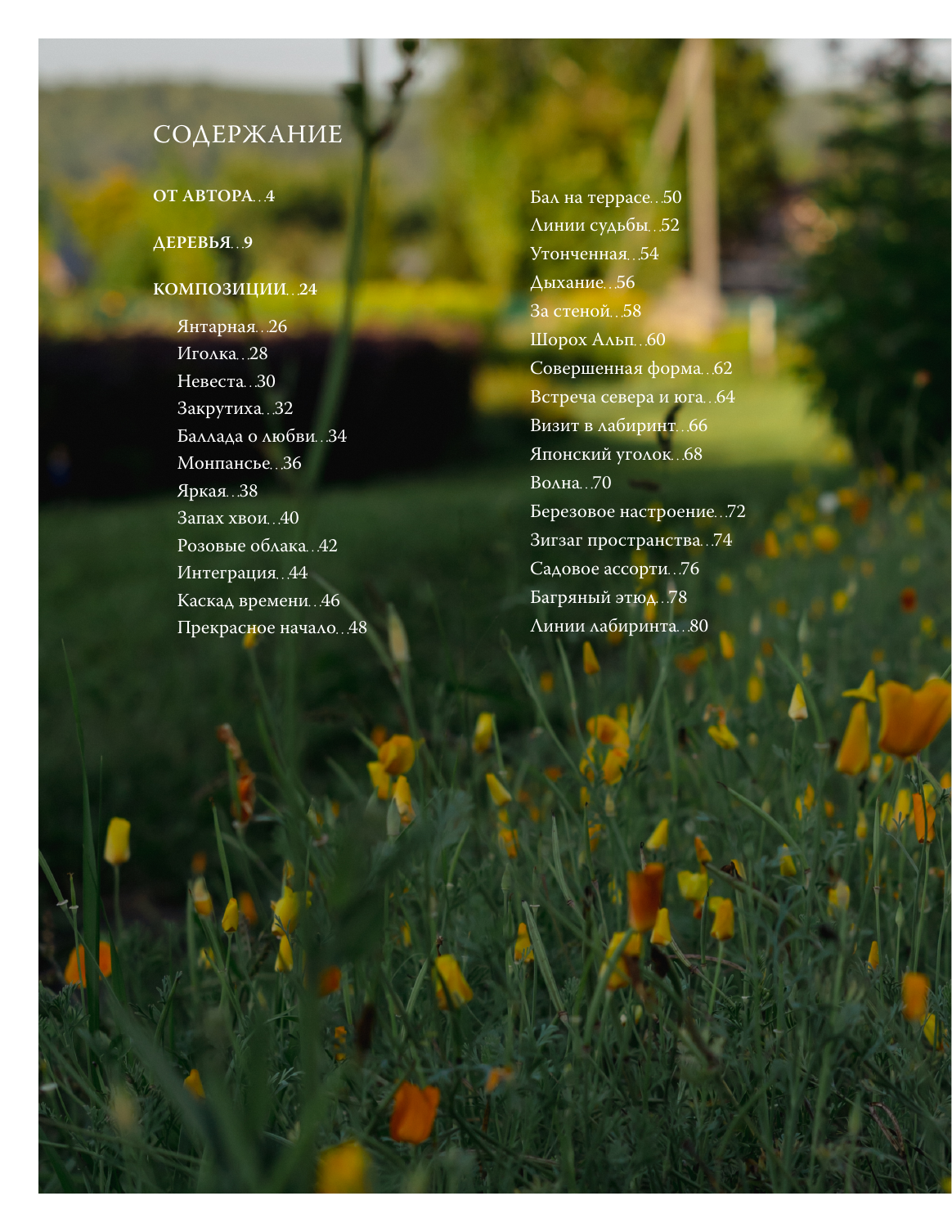 Шаферов Иван Александрович 60 готовых решений для вашего сада. Ландшафтные композиции с деревьями, кустарниками и многолетниками - страница 1