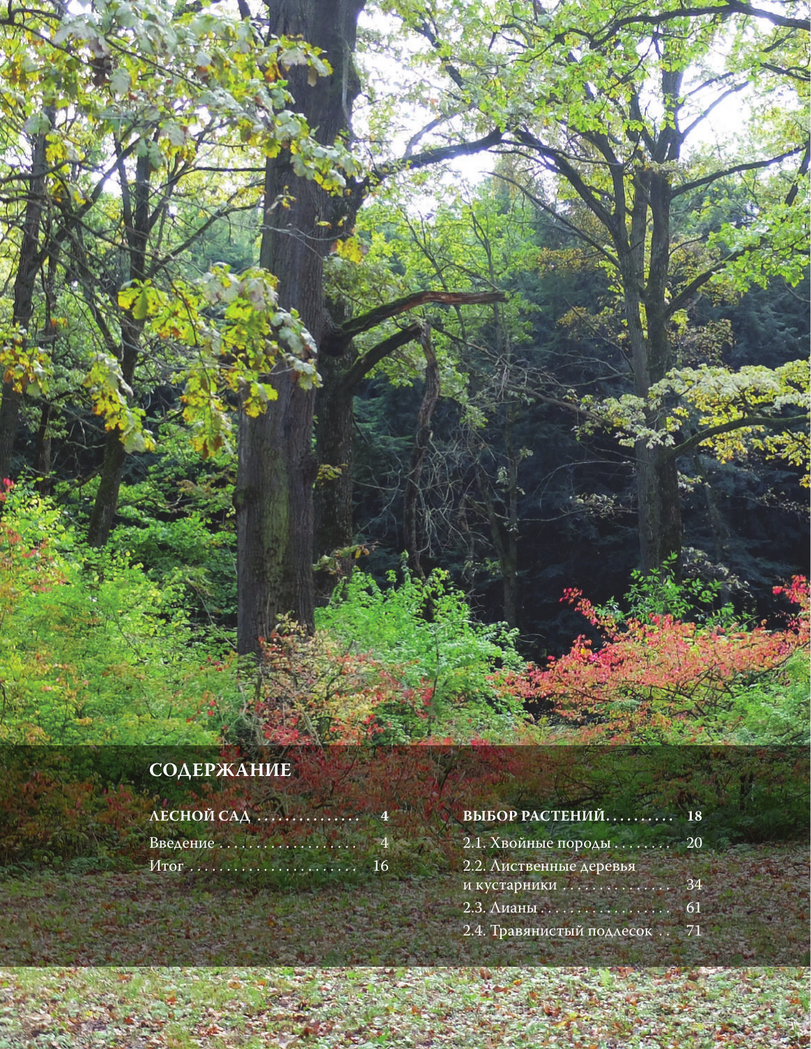 Воронина Светлана Ивановна Лесной сад. Ландшафтный дизайн в гармонии с природой - страница 1