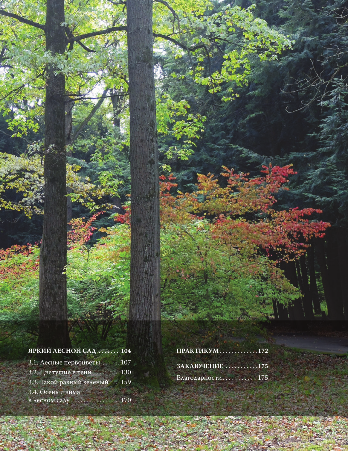Воронина Светлана Ивановна Лесной сад. Ландшафтный дизайн в гармонии с природой - страница 2