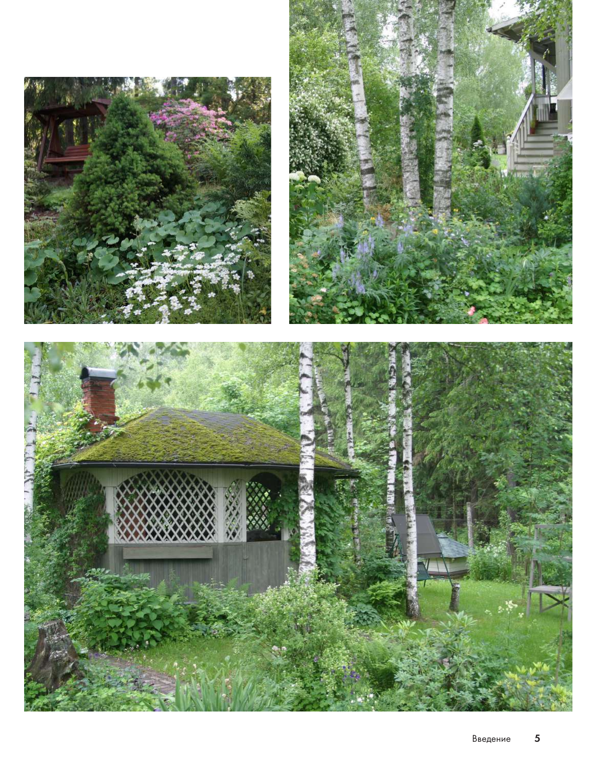 Воронина Светлана Ивановна Лесной сад. Ландшафтный дизайн в гармонии с природой - страница 4