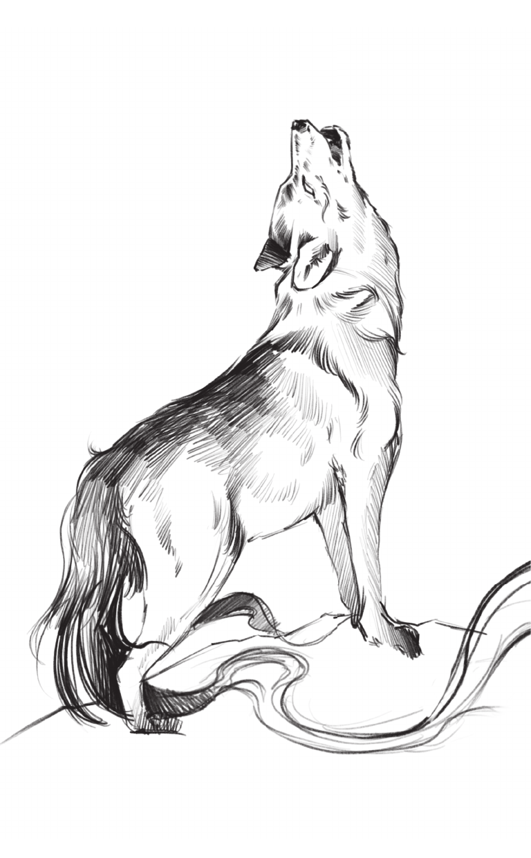 Невельсон Оливия  Легенды квилетов - страница 3