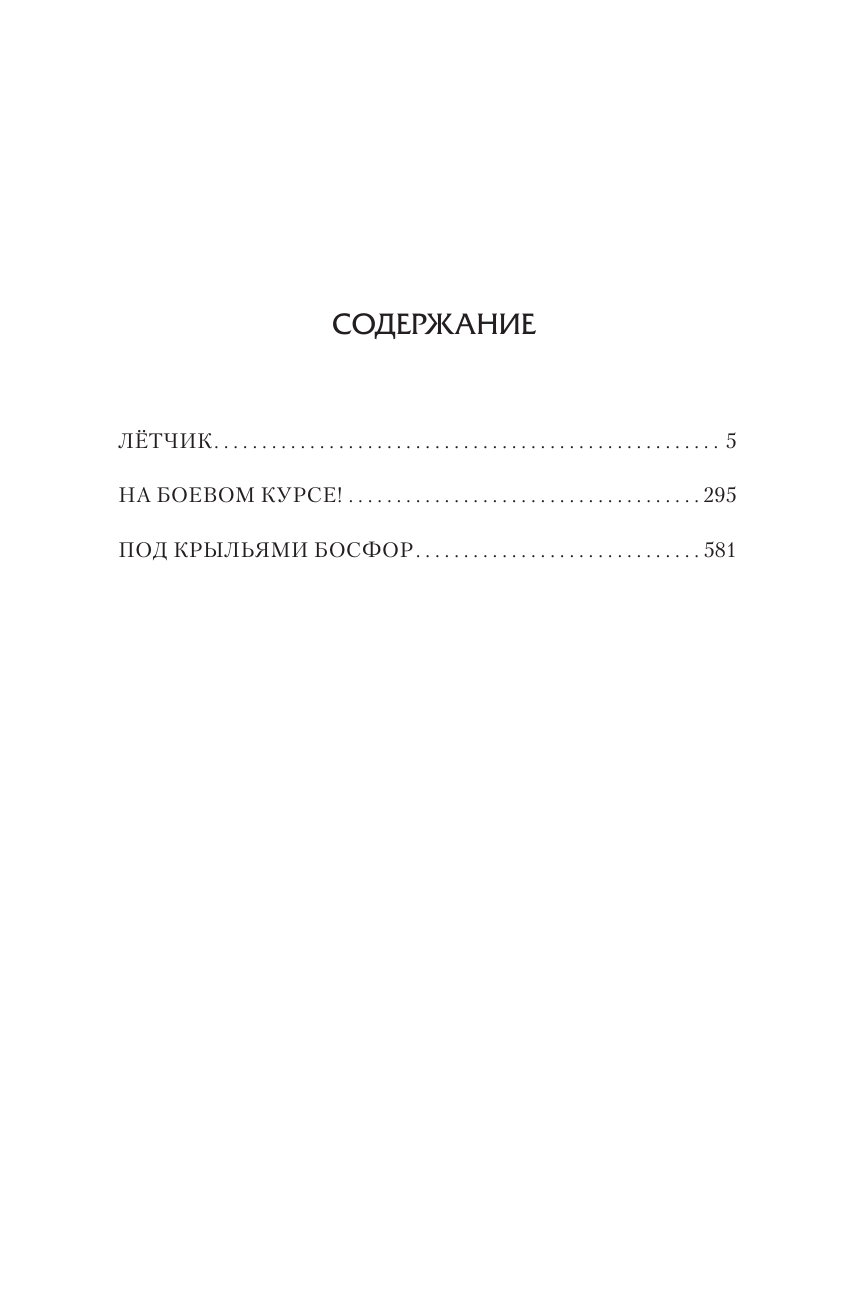 Малыгин Владимир Владиславович Лётчик - страница 1