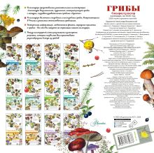 Календарь Грибы 2026 год