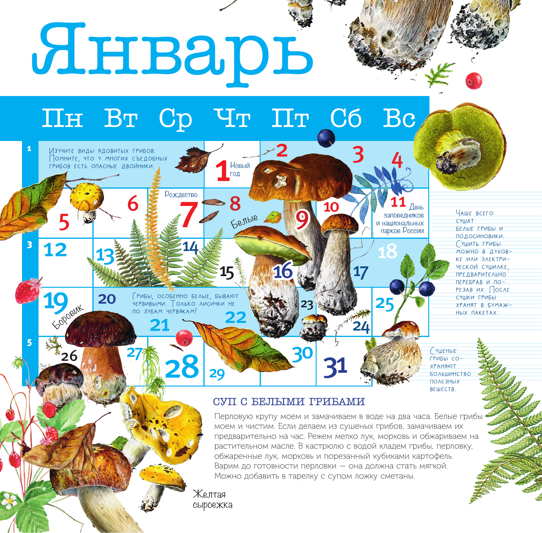  Календарь Грибы 2026 год - страница 1