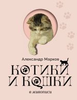 Котики и кошки в живописи
