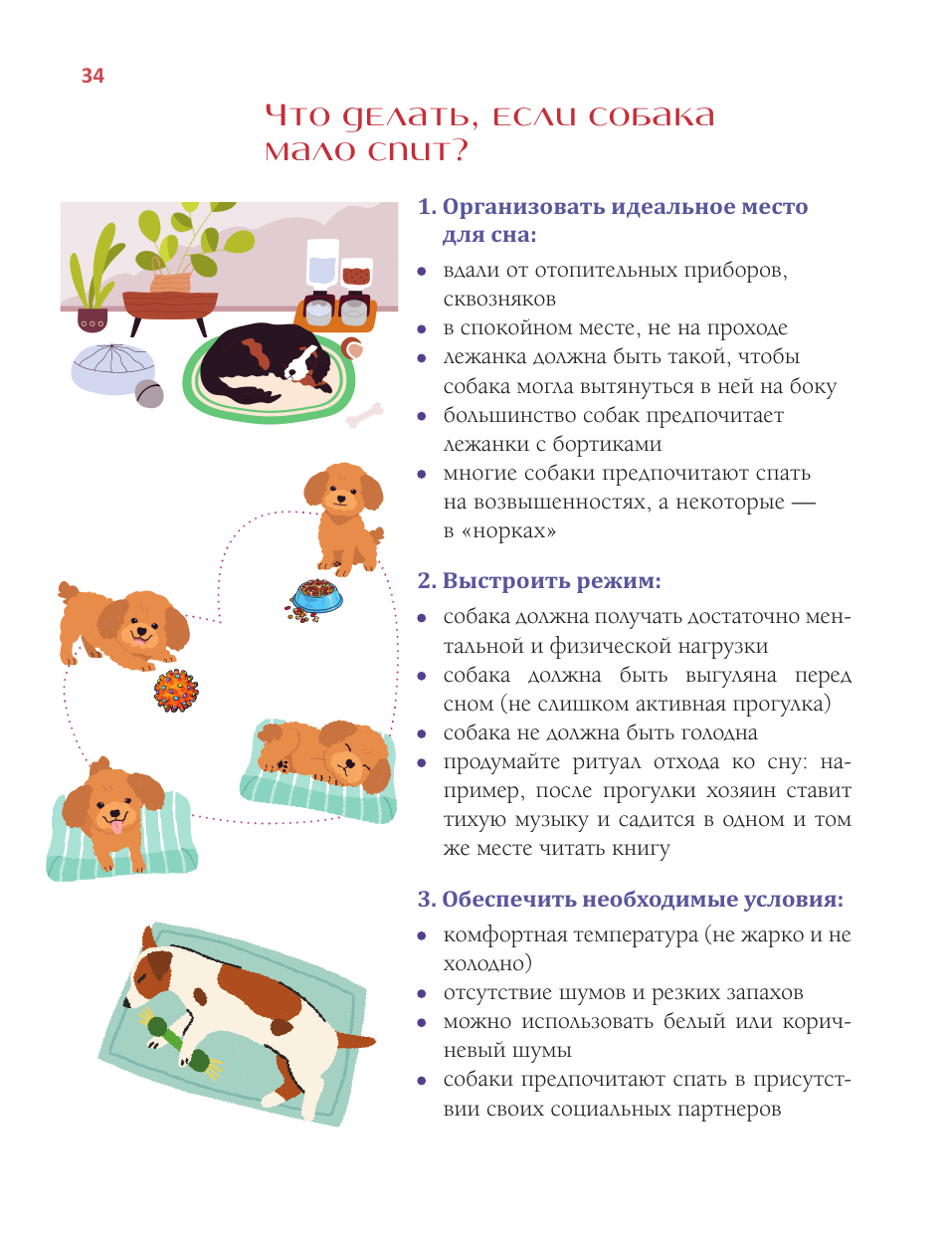 Романова Татьяна Владиславовна Азбука собачника. Иллюстрированное руководство по содержанию и воспитанию собаки - страница 4