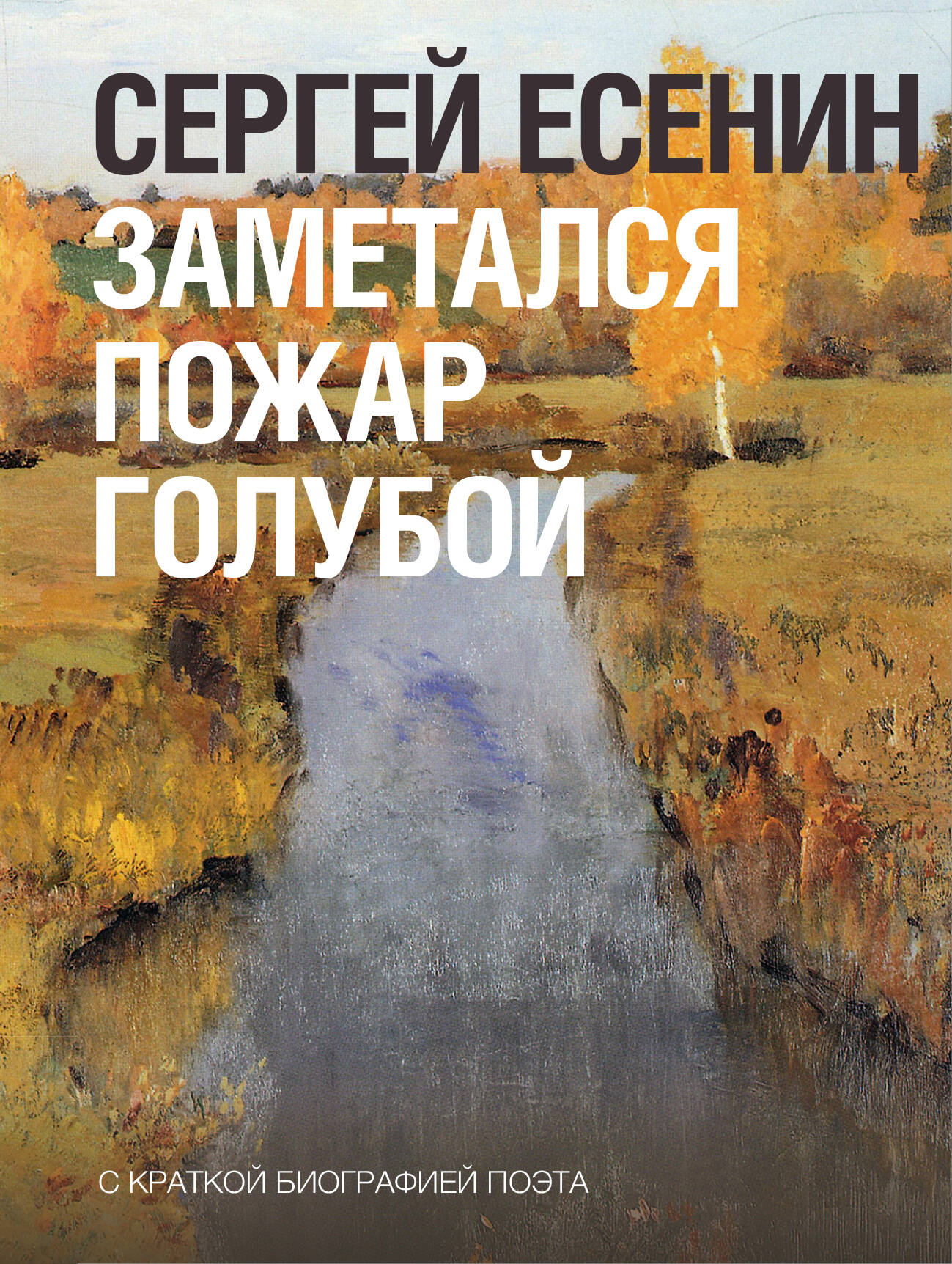 Есенин Сергей Александрович Заметался пожар голубой - страница 0