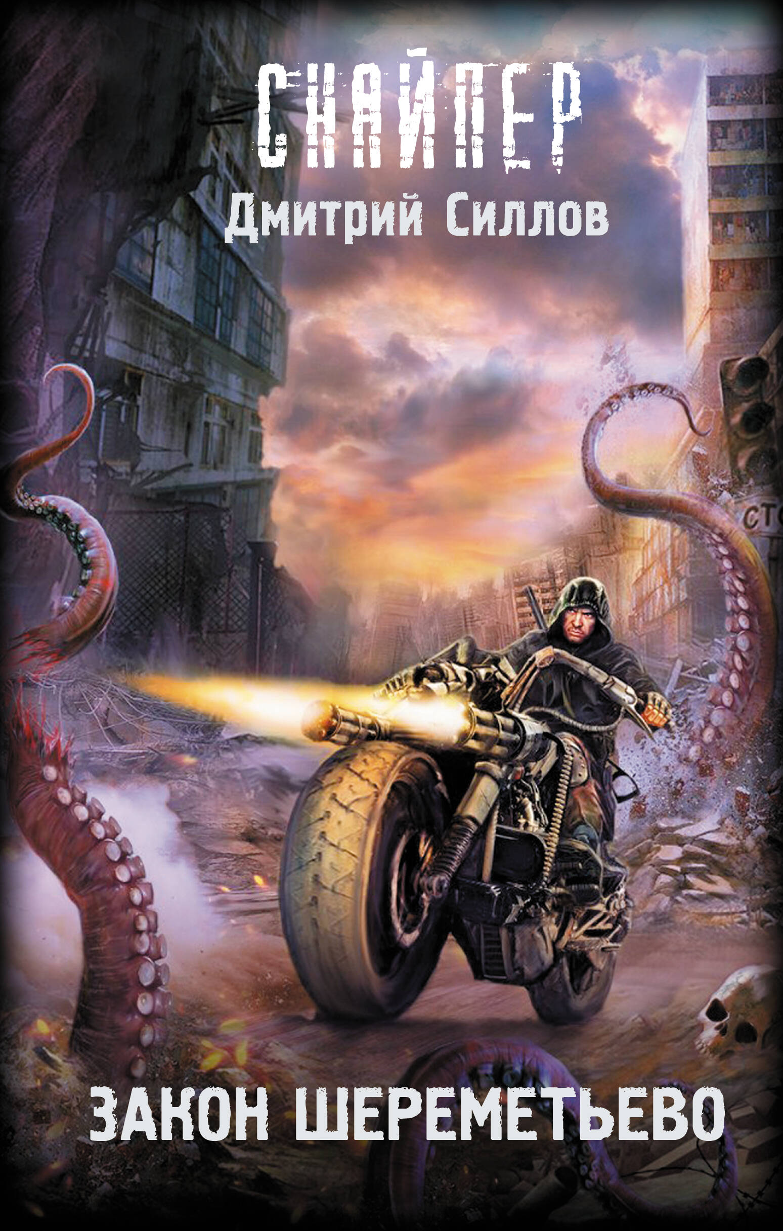 Силлов Дмитрий Олегович Закон Шереметьево - страница 0