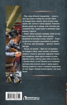 Я из Железной Бригады. Гражданская война