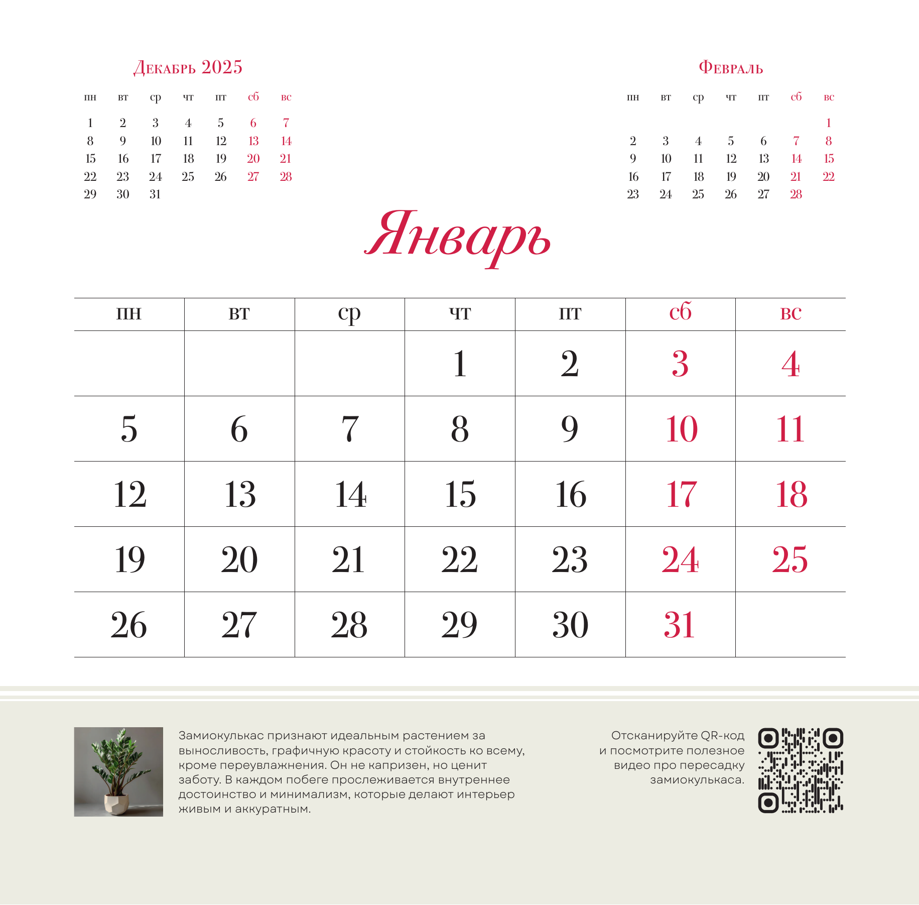 Кузнецова Екатерина Александровна Цветология. Настенный календарь на 2026 год - страница 3