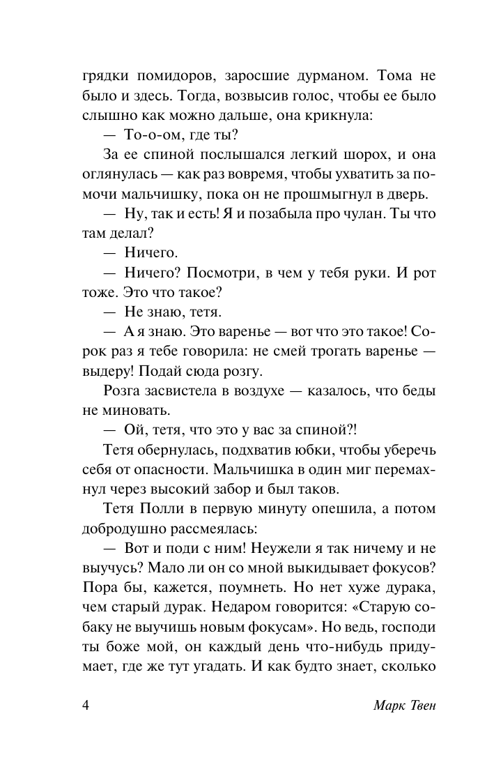 Твен Марк Приключения Тома Сойера - страница 4