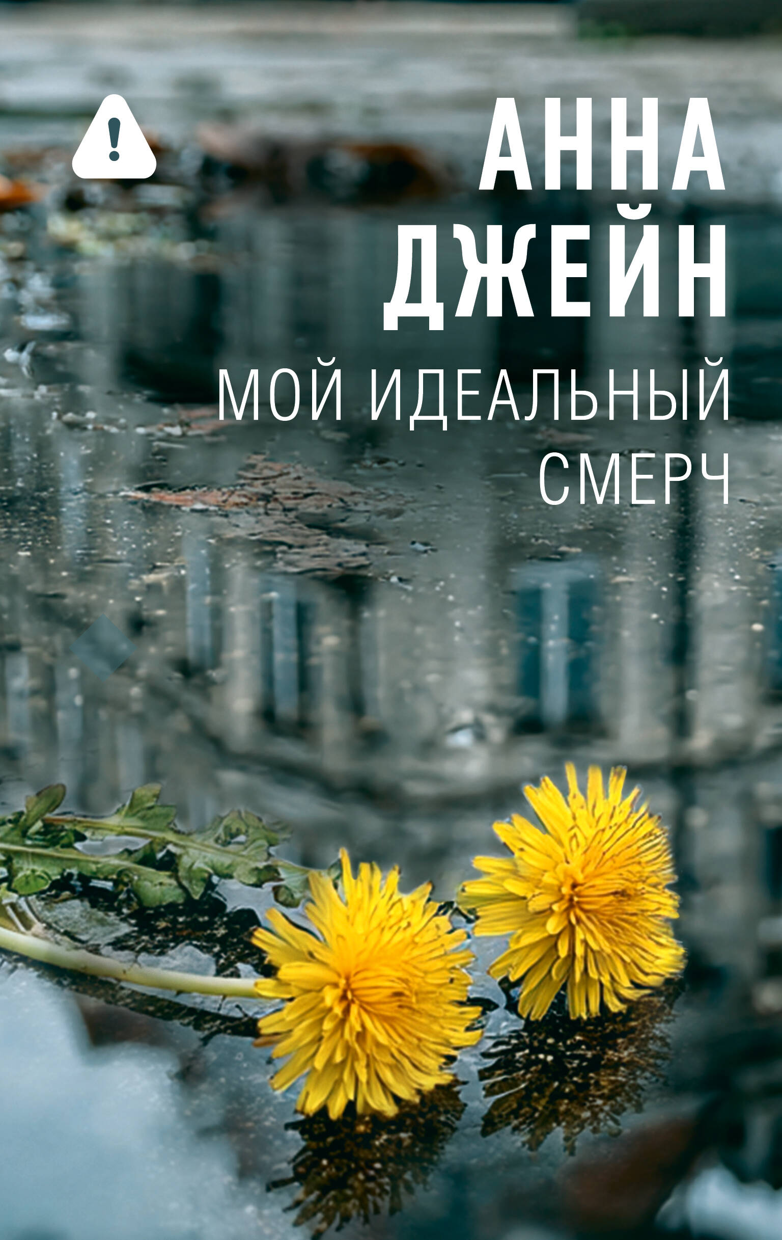 Джейн Анна  Мой идеальный смерч - страница 0