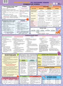 Большой плакат по русскому языку. Продвинутый уровень