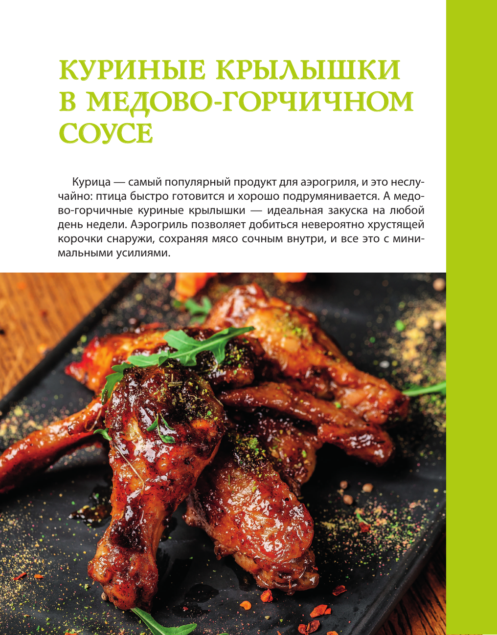 Лидинев Виталий Аэрогриль. Лучшие рецепты - страница 2