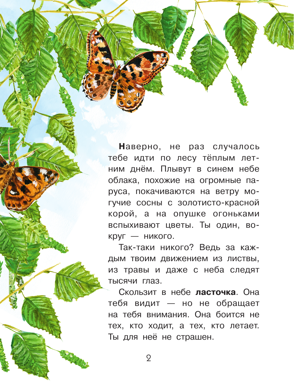 Танасийчук Виталий Николаевич Кто как видит? - страница 2